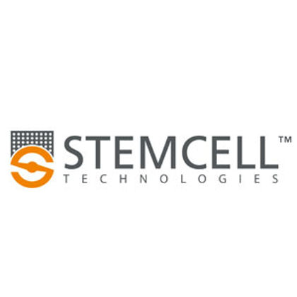 Stem Cell