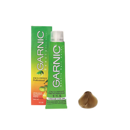 رنگ مو گیاهی گارنیک شماره 91/2.5