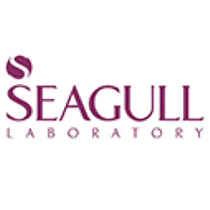 سی گل - Seagull