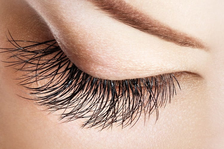 نحوه استفاده از قطره مژه اکسیلیا